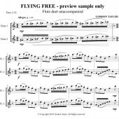Flying Free