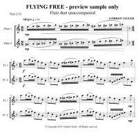 Flying Free