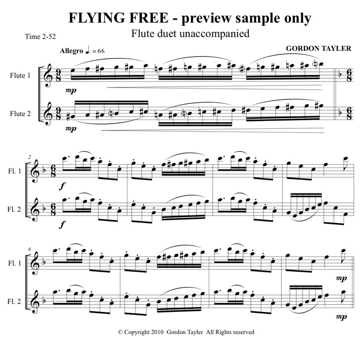 Flying Free