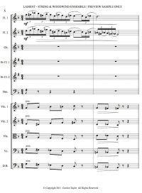 Lament (woodwind & string orchestral ensemble – in memory of 9/11)