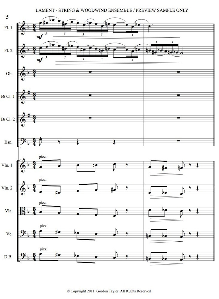 Lament (woodwind & string orchestral ensemble – in memory of 9/11)